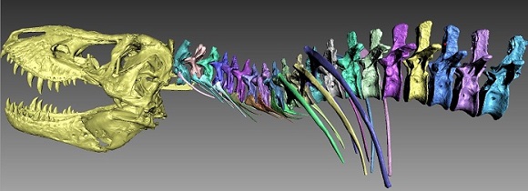 3Dスキャンで作成したティラノサウルス・レックスの化石を1つずつ