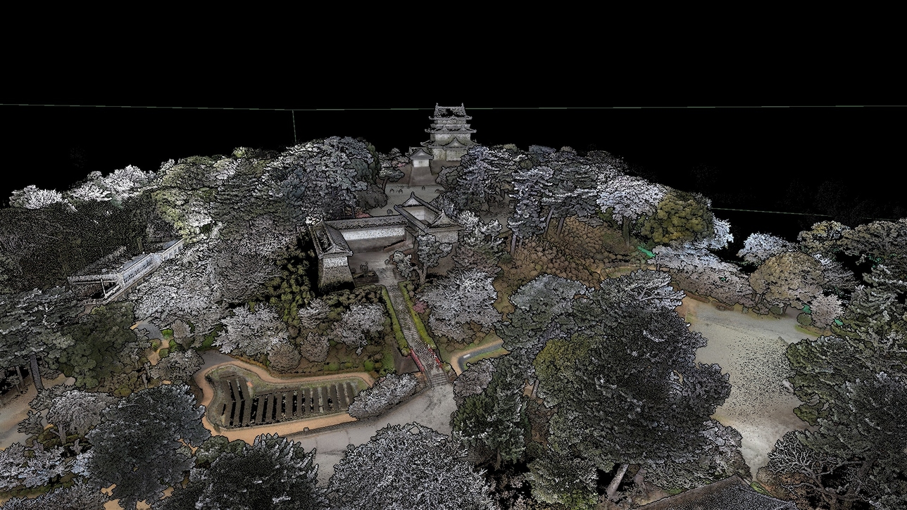 Castle