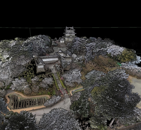 Castle