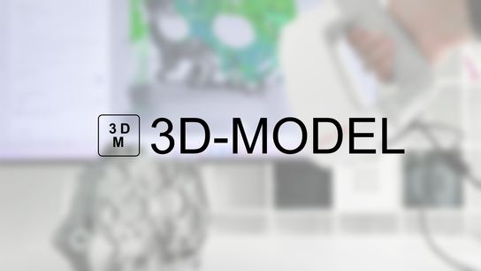 3D-MODEL