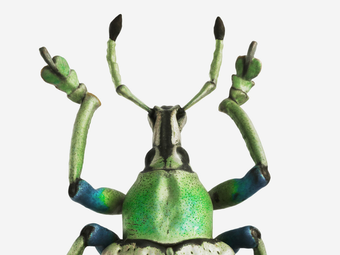 When it has to feel real