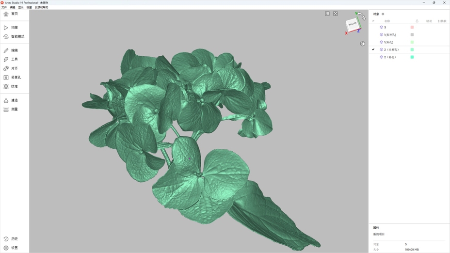 Flower 3D scanning for jewelry design