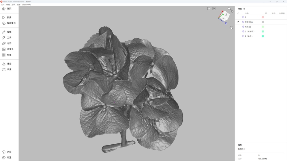 Flower 3D scanning for jewelry design