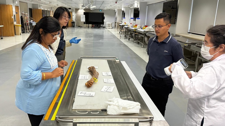 National University of Singapore