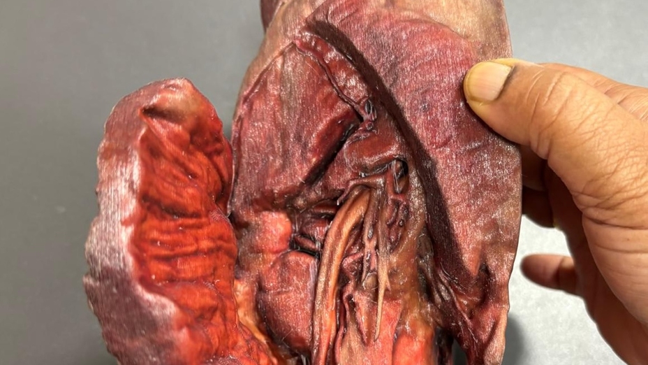 National University of Singapore