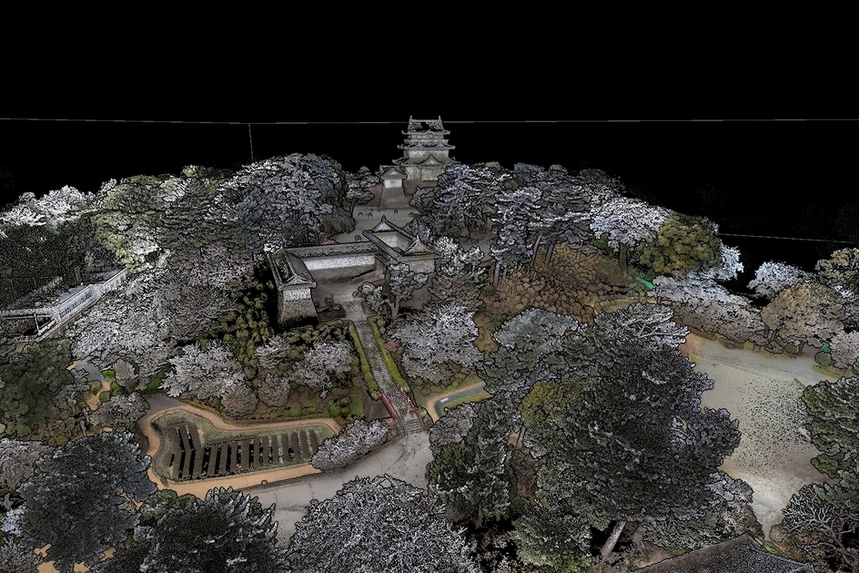 Castle